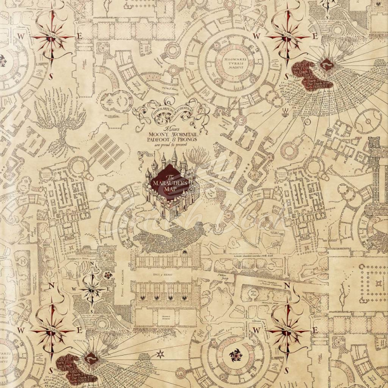 Пакувальний папір Harry Potter Gift Wrap: The Marauder's Map зображення 1