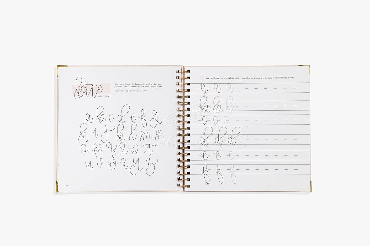 Книга Hand Lettering 201: Intermediate Lettering and Design Basics зображення 2