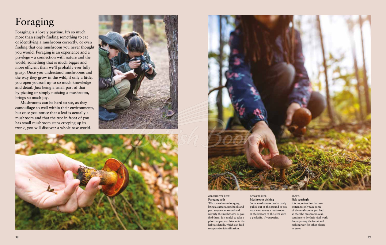 Книга Mushrooms: A Guide to Fungi and Toadstools зображення 4
