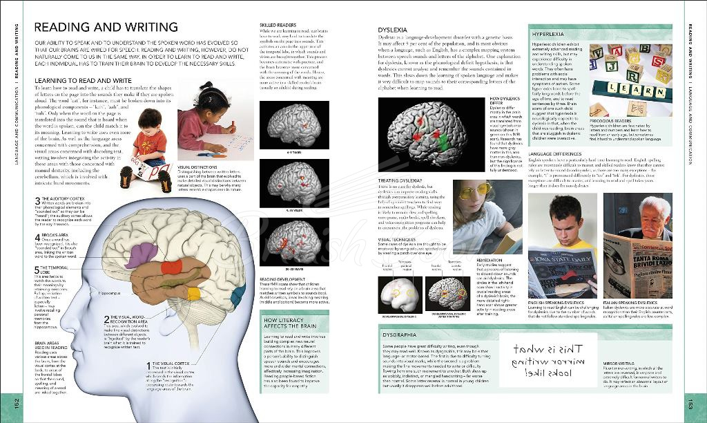 Книга The Brain Book зображення 3