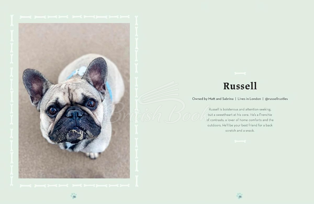 Книга French Bulldogs зображення 5