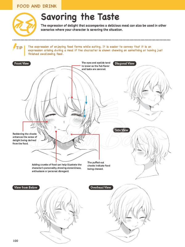 Книга How to Create Manga: Drawing Facial Expressions изображение 14