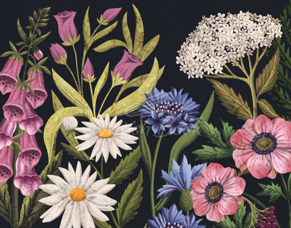 Книга The Hidden Histories of Flowers зображення 8