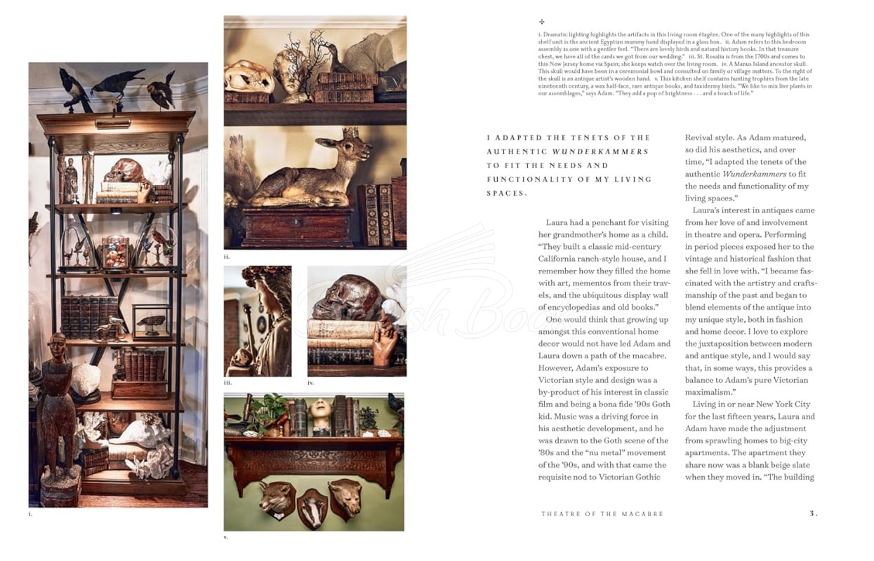 Книга The Art of Gothic Living: Dark Decor for the Modern Macabre зображення 3