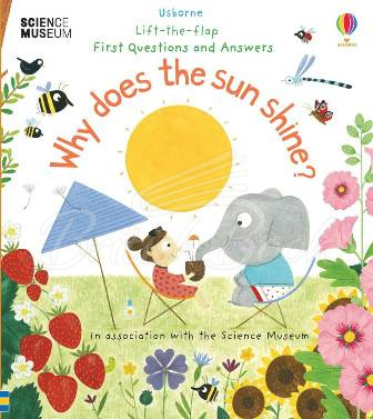 Книга Lift-the-Flap First Questions and Answers: Why Does the Sun Shine? зображення