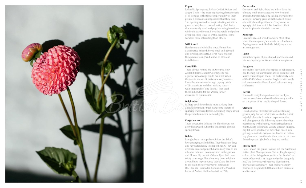 Книга Pretty Dirty: The Life of Flowers, From Creation to Compost зображення 2