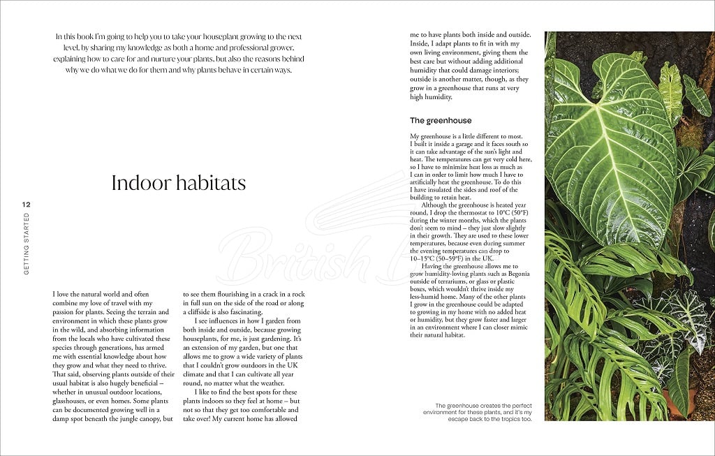 Книга Not Another Jungle: Comprehensive Care for Extraordinary Houseplants изображение 4