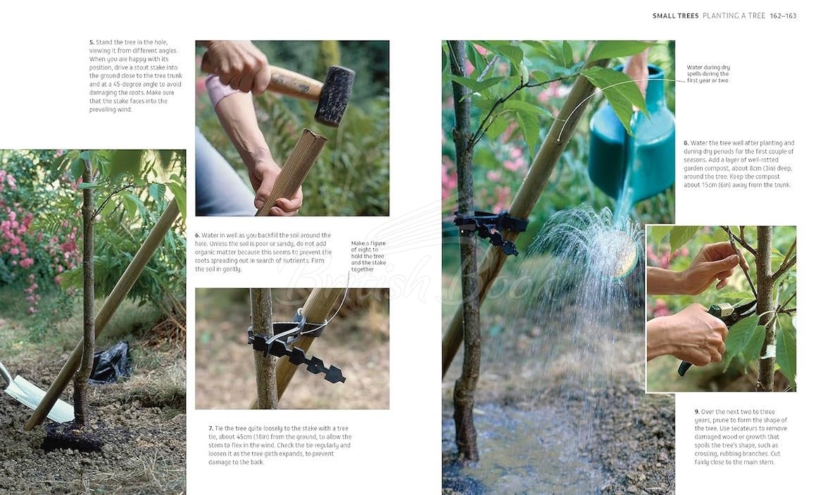 Книга RHS How to Garden When You're New to Gardening изображение 6