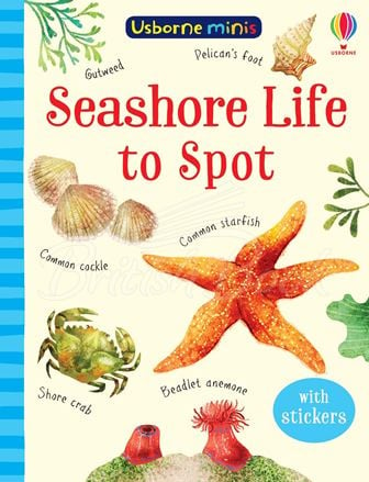 Книга Seashore Life to Spot изображение