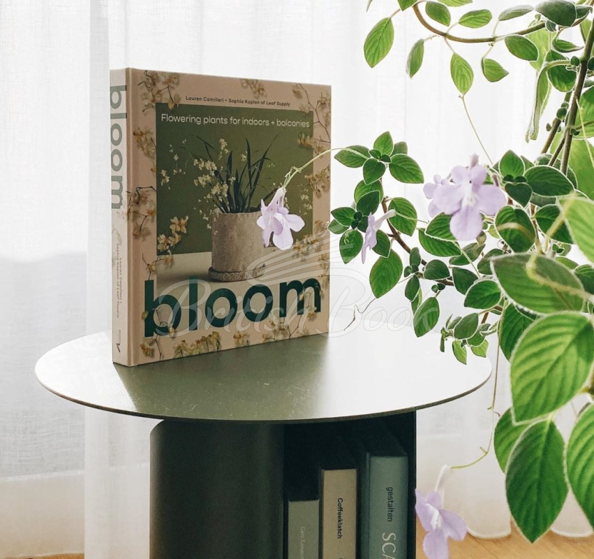 Книга Bloom: Flowering Plants for Indoors and Balconies зображення 10