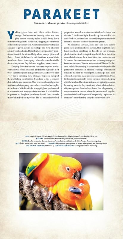 Книга Birds: A Photicular Book изображение 2
