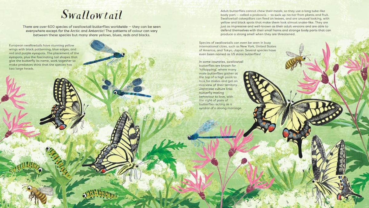 Книга National Trust: Butterfly Skies изображение 3