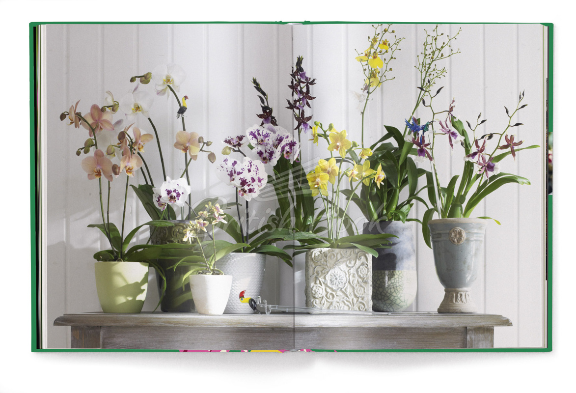 Книга Floramour: Orchids зображення 4