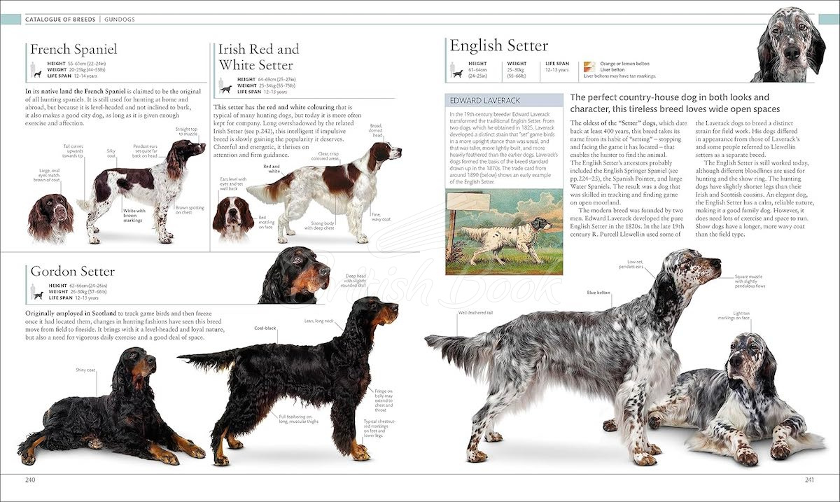 Книга The Dog Encyclopedia изображение 7
