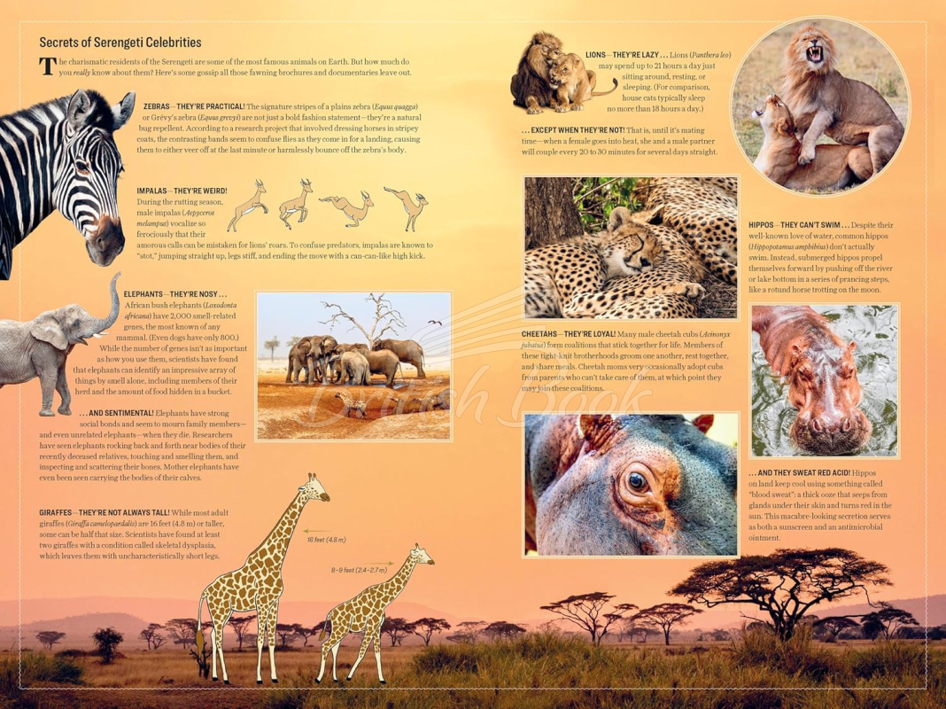 Книга Atlas Obscura: Wild Life зображення 3