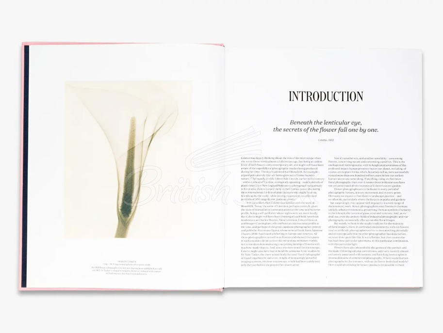 Книга Flora Photographica изображение 4