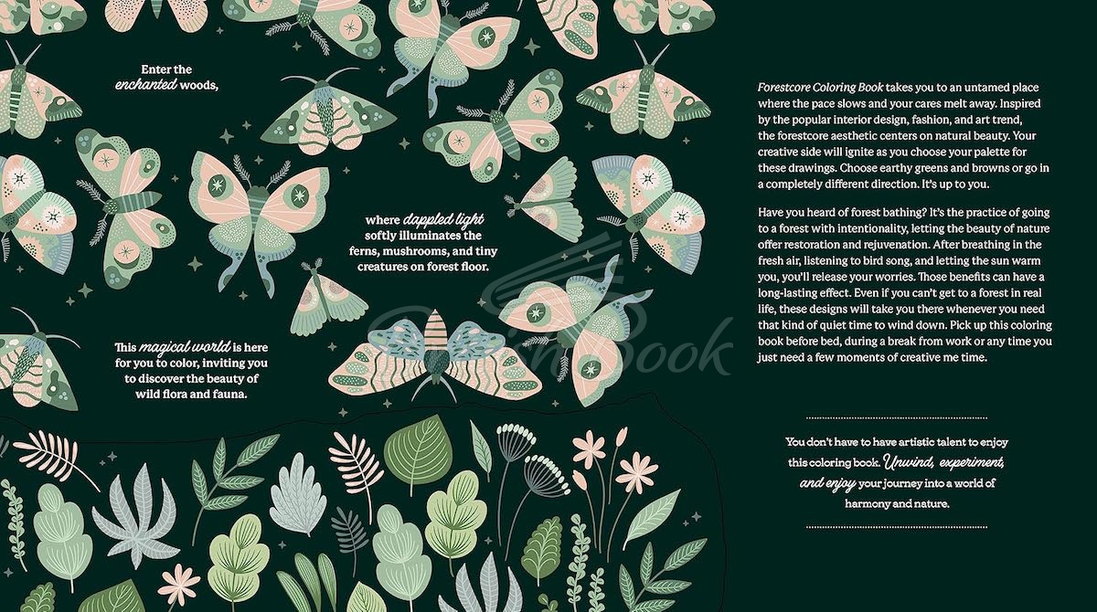 Книга Forestcore Coloring Book зображення 1