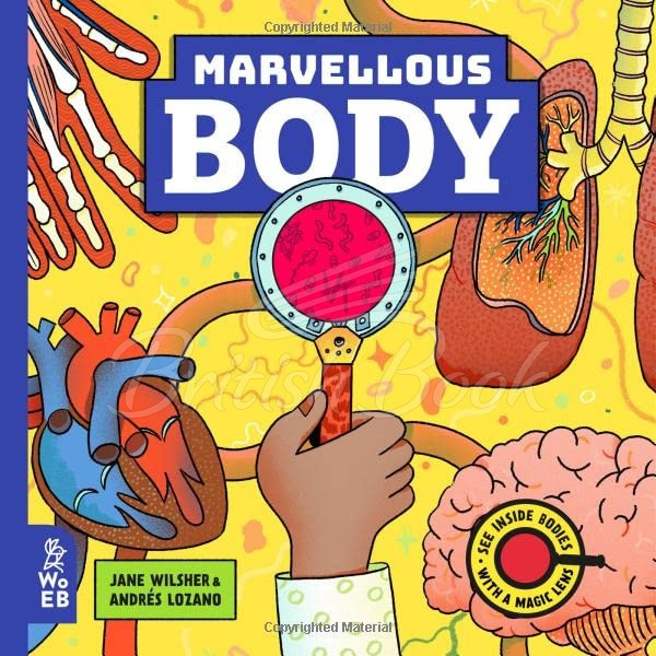 Книга Marvellous Body (A Magic Lens Book) зображення