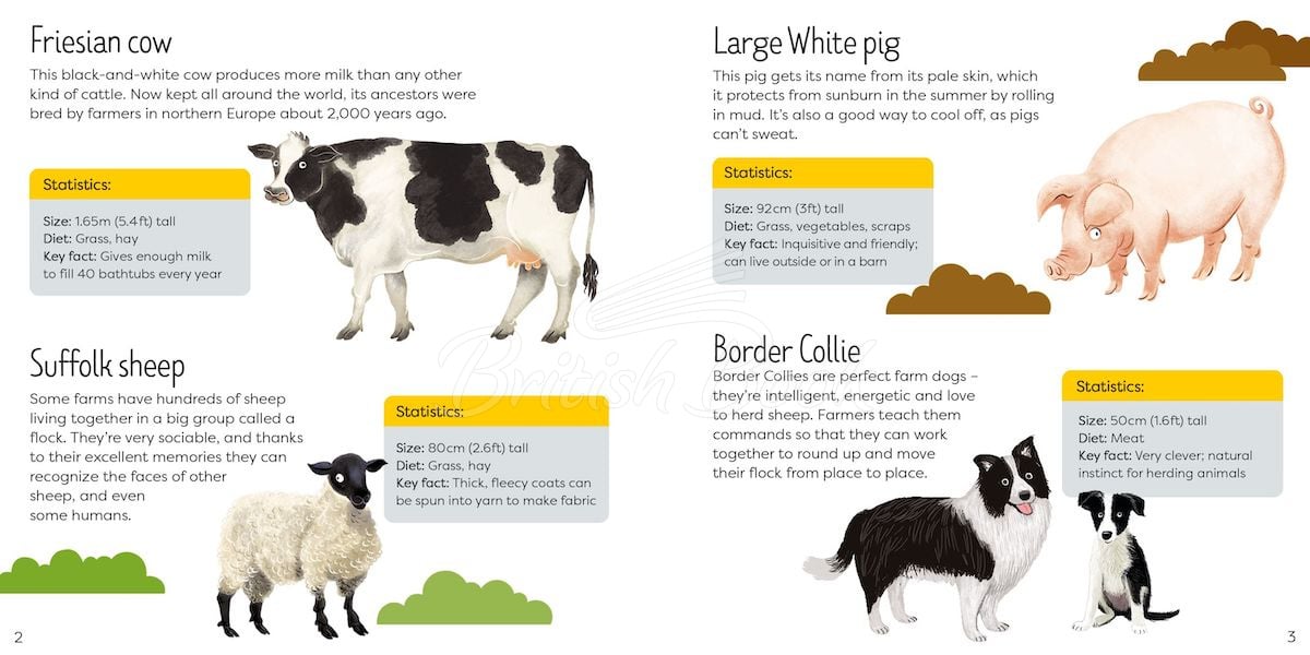 Пазл Usborne Book and Jigsaw: Farm зображення 2