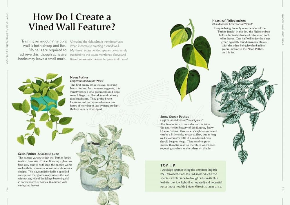 Книга How to Make Your Houseplants Love You: Expert Answers for Plant Parents зображення 4