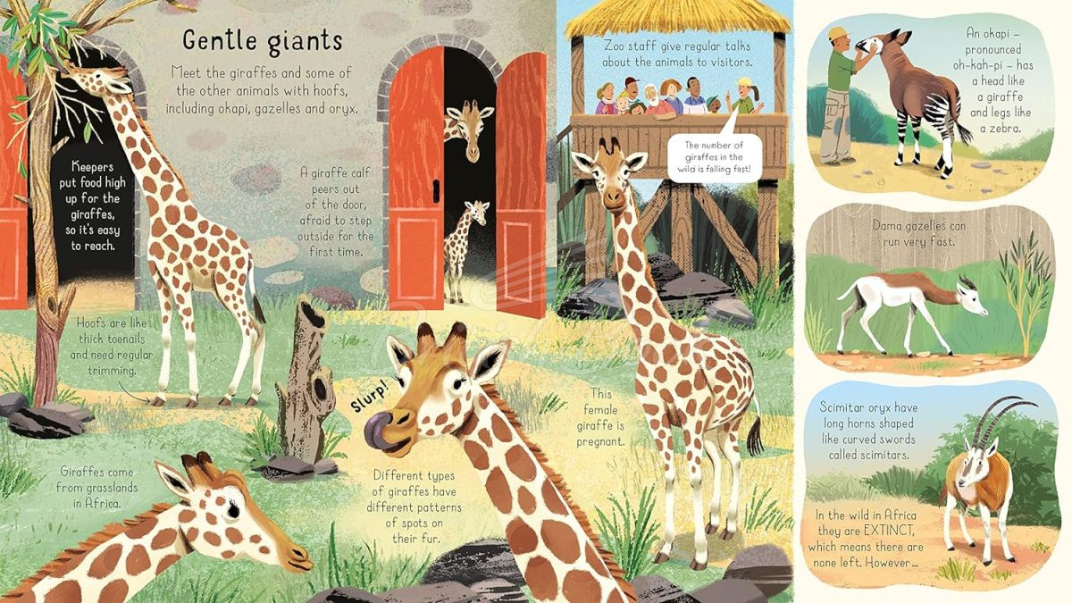 Книга Look Inside a Zoo изображение 2