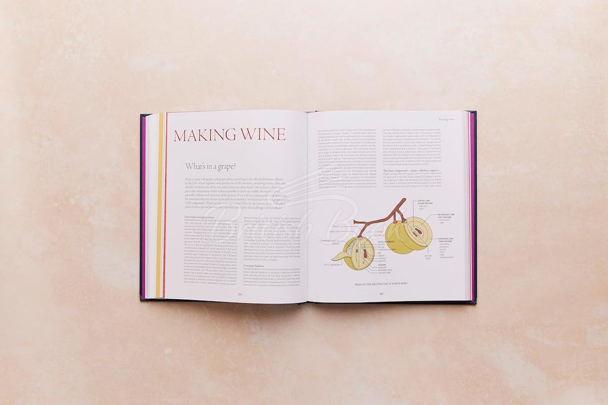 Книга One Thousand Vines: A New Way to Understand Wine изображение 7