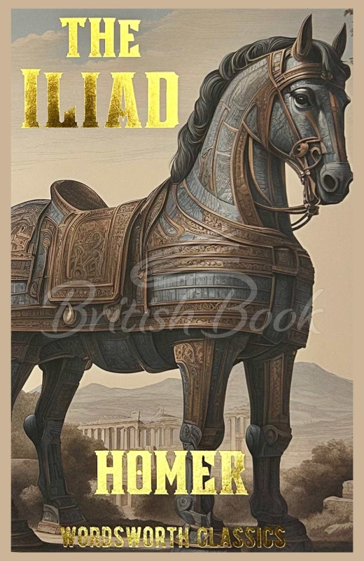 Книга The Iliad изображение