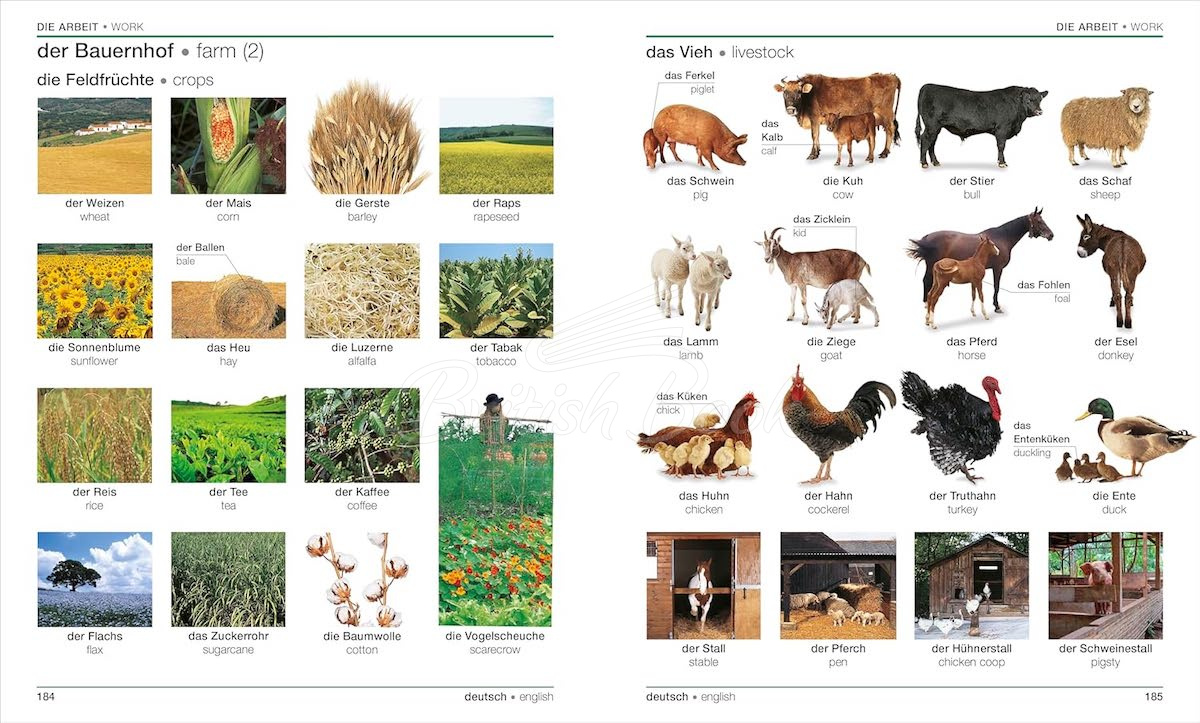 Книга German-English Bilingual Visual Dictionary изображение 4