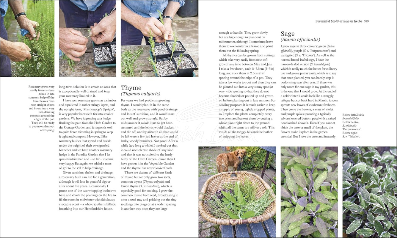 Книга The Complete Gardener: A Practical, Imaginative Guide to Every Aspect of Gardening зображення 2