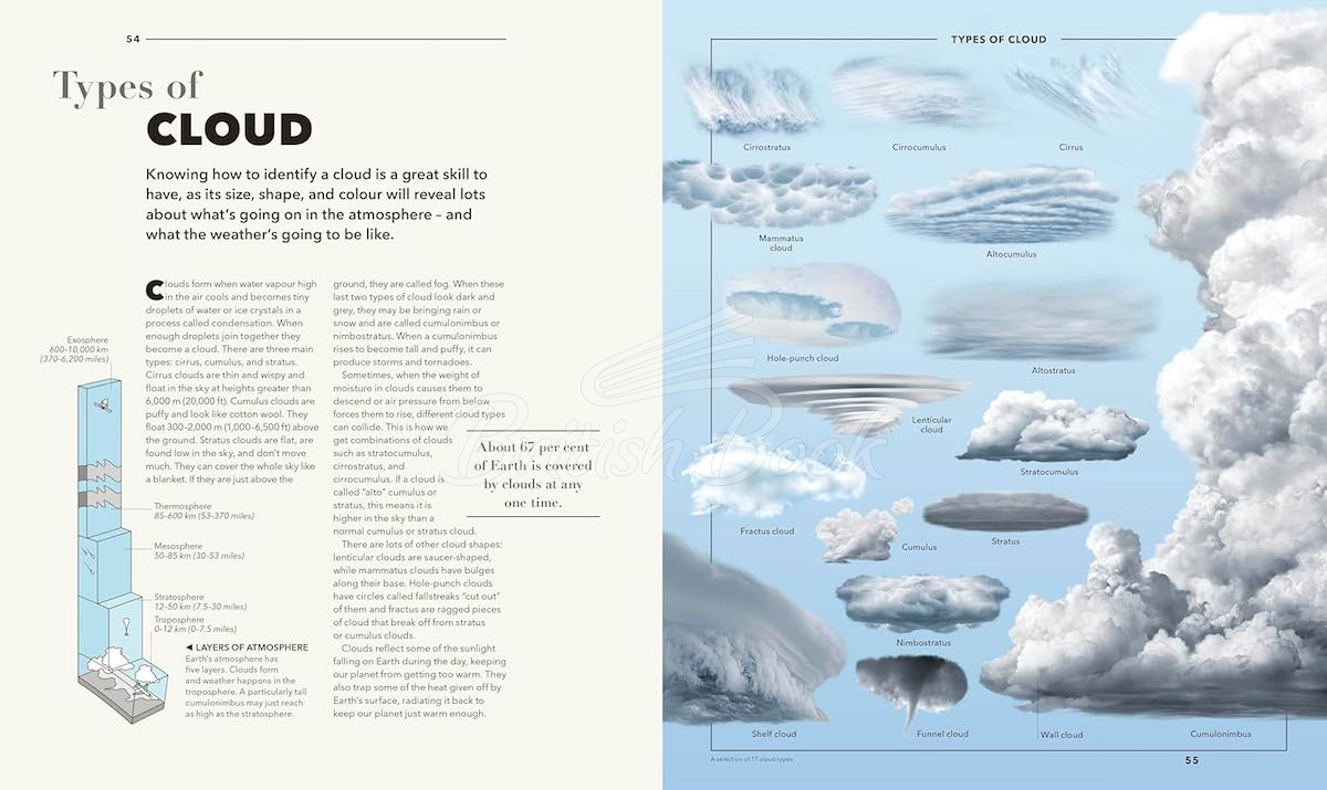 Книга Knowledge: A Visual Compendium изображение 5