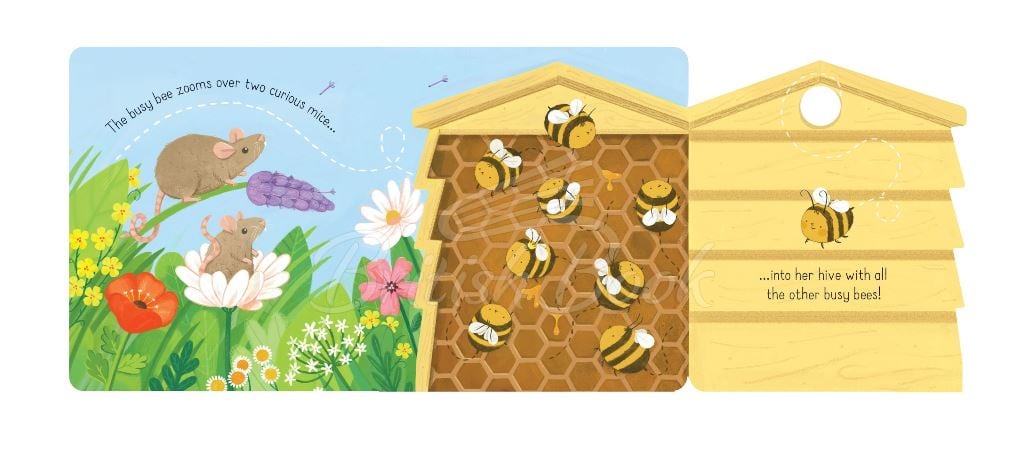 Книга Little Lift and Look: Busy Bee зображення 1