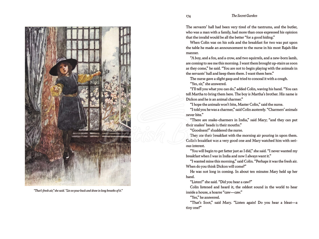 Книга The Secret Garden изображение 3