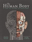 The Human Body: A Pop-Up Guide to Anatomy