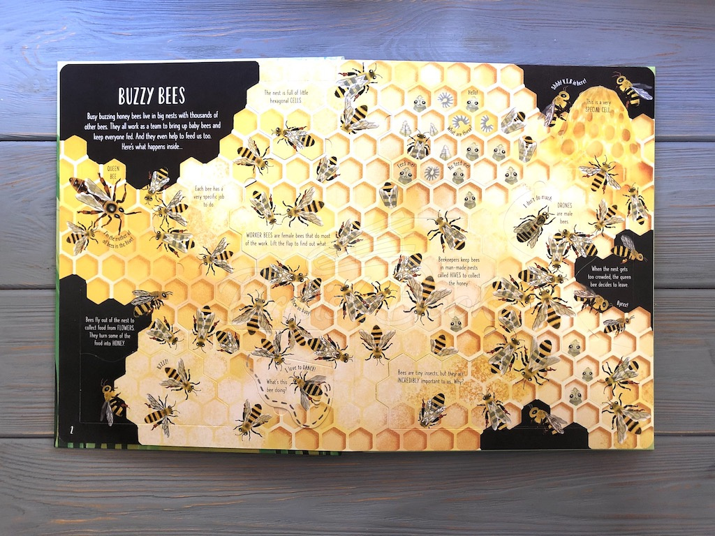 Книга Lift-the-Flap Bugs and Butterflies зображення 3