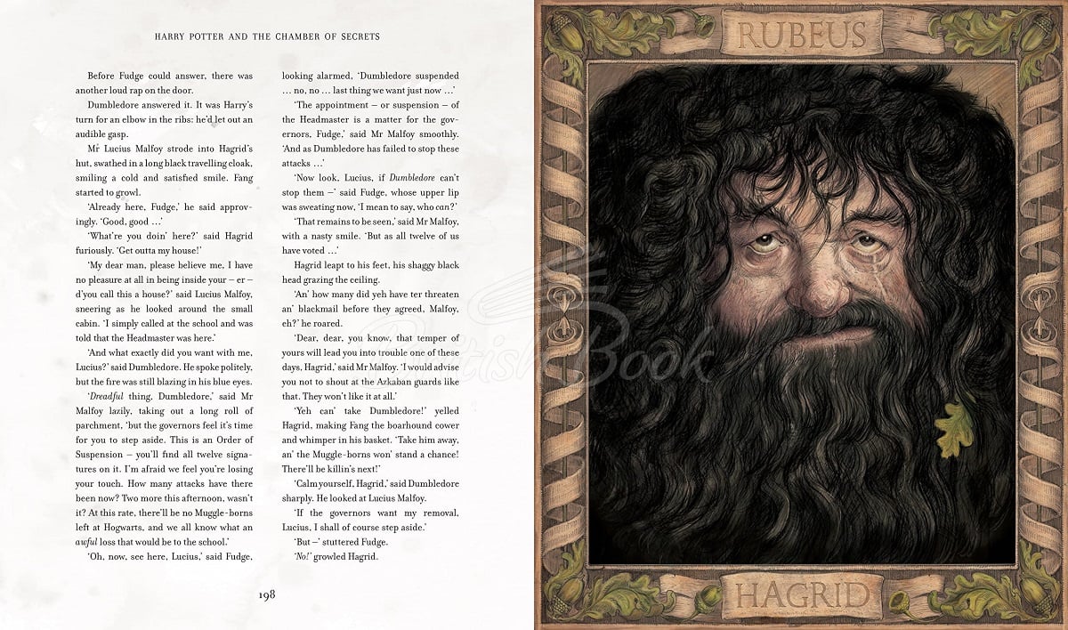 Книга Harry Potter and the Chamber of Secrets (Illustrated Edition) зображення 3