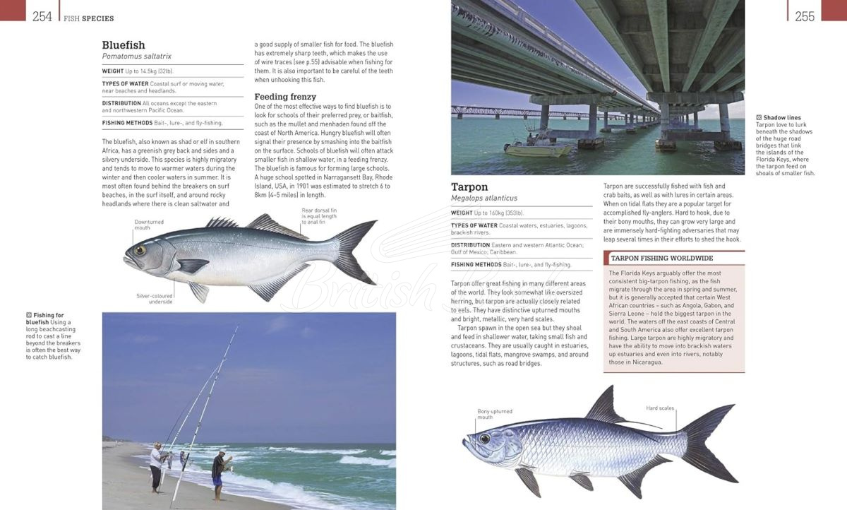 Книга The Complete Fishing Manual зображення 5