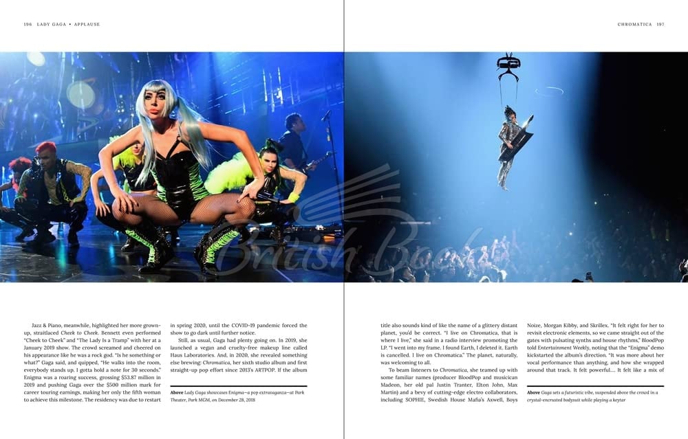 Книга Lady Gaga: Applause зображення 2