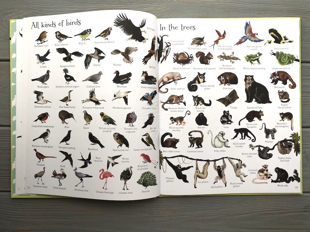 Книга 1000 Animals зображення 5