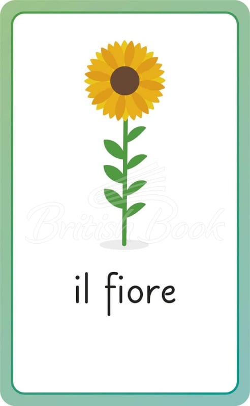 Картки Italian for Everyone Junior: First Words Flash Cards зображення 5