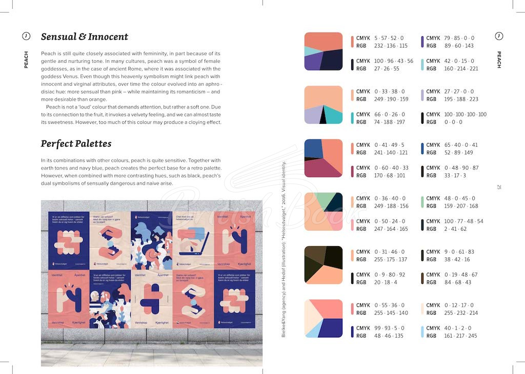 Книга Palette Perfect for Graphic Designers and Illustrators зображення 13