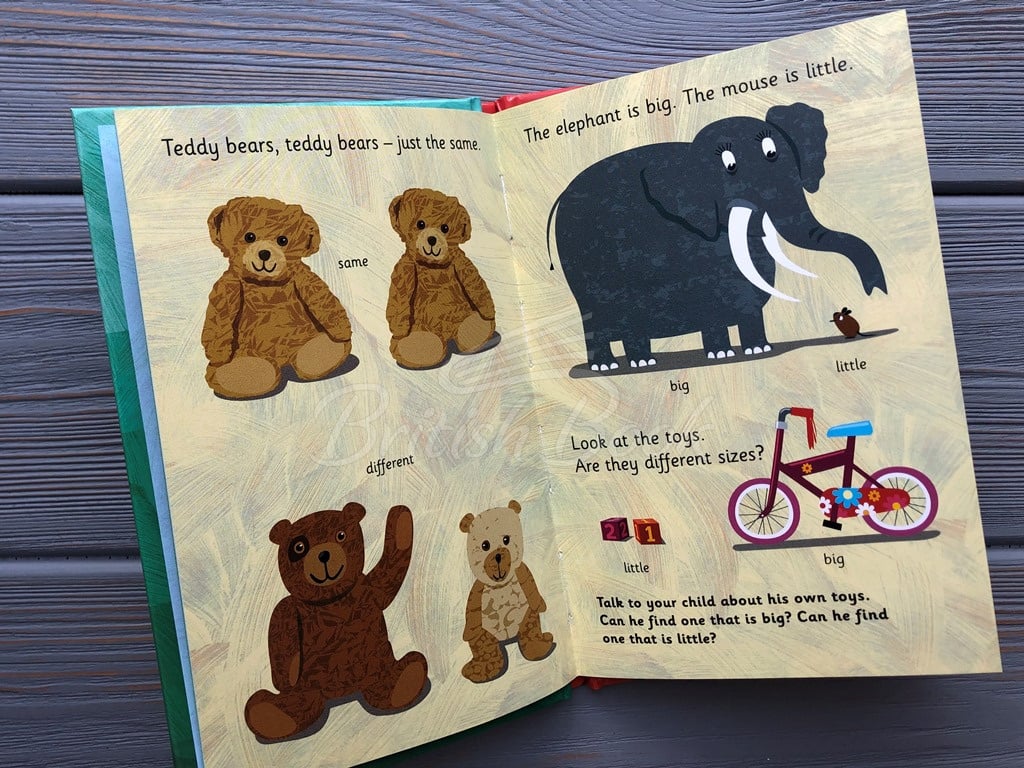 Книга Early Learning: Big and Little зображення 3