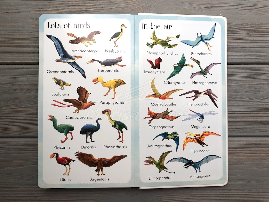 Книга 199 Dinosaurs and Prehistoric Animals зображення 6