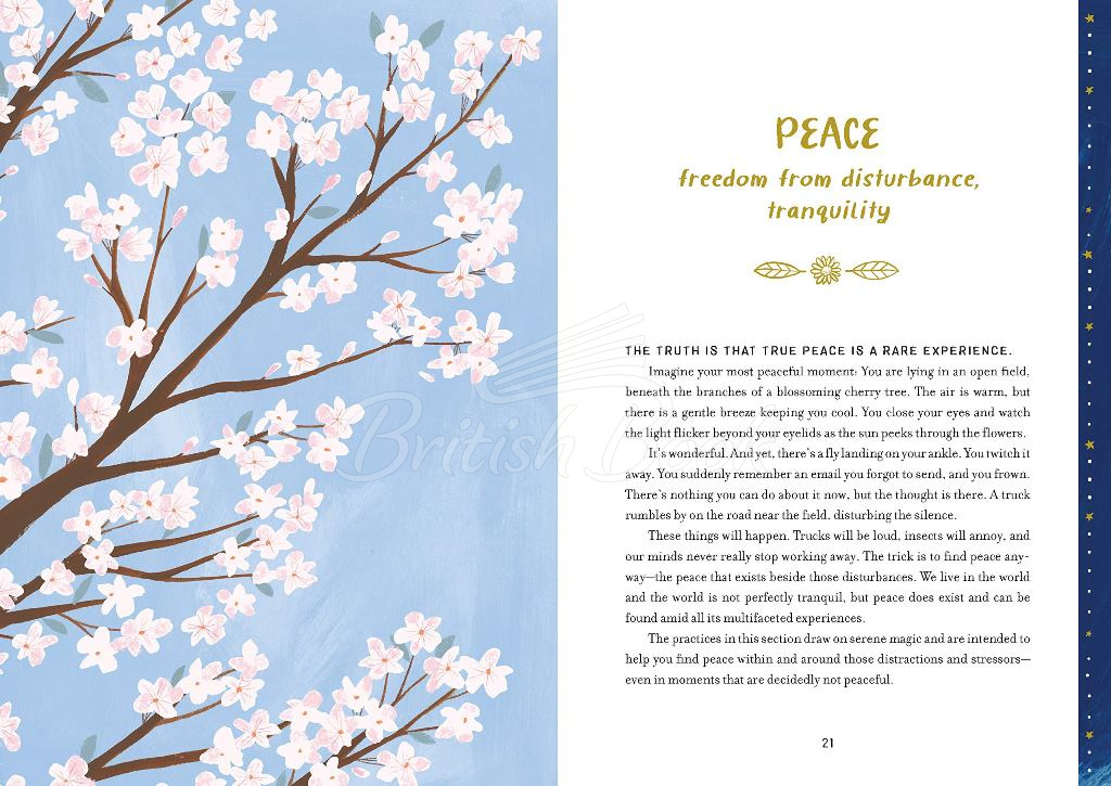 Книга Calming Magic: Enchanted Rituals for Peace, Clarity, and Creativity зображення 1