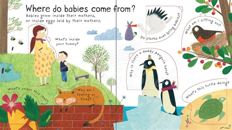 Книга Lift-the-Flap First Questions and Answers: Where Do Babies Come from? зображення 3