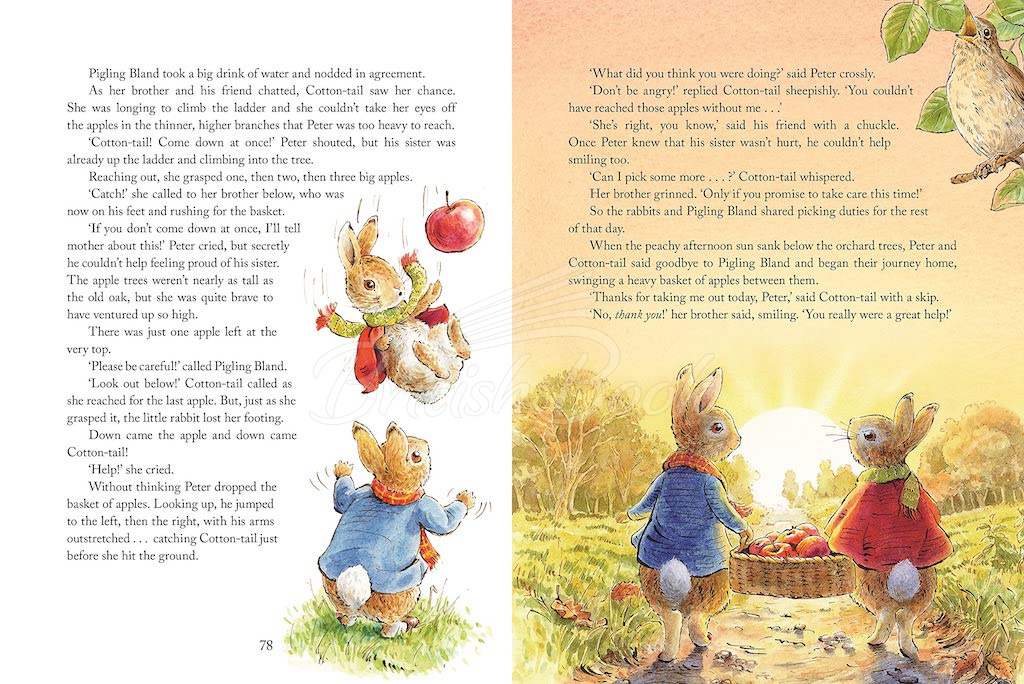 Книга Peter Rabbit: Tales from the Countryside зображення 4