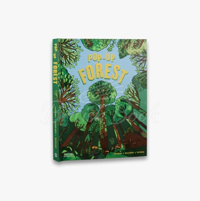 Книга Pop-Up Forest зображення 2