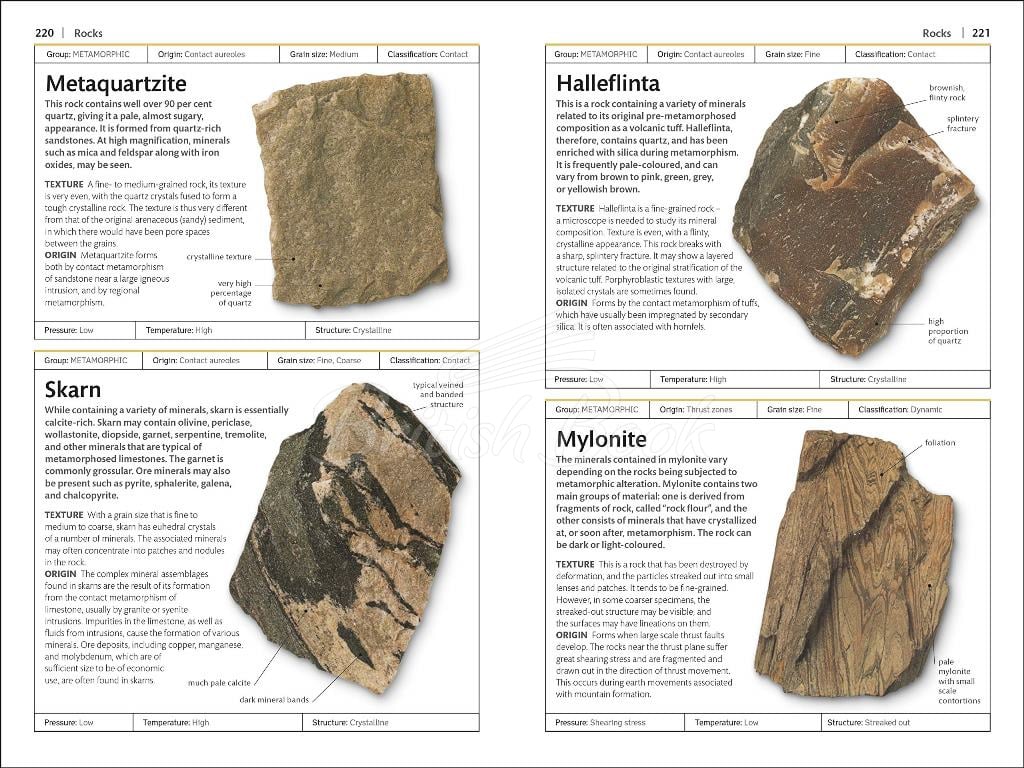 Книга Rocks and Minerals зображення 2