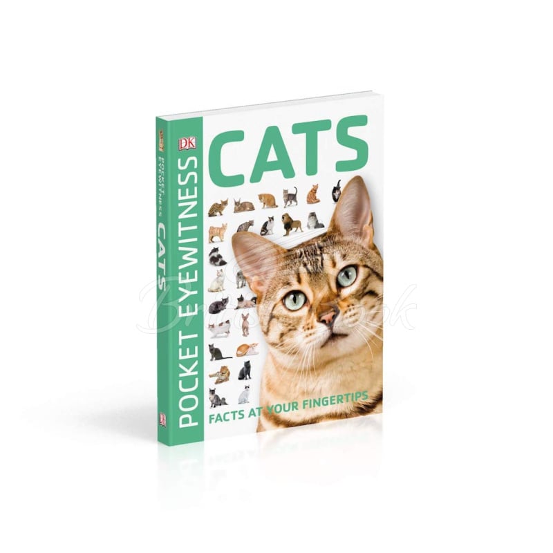 Книга Pocket Eyewitness: Cats зображення 1