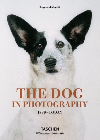 Книга The Dog in Photography 1839–Today зображення