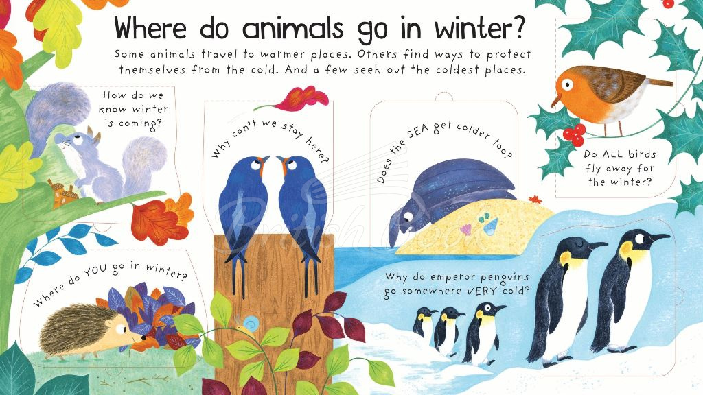 Книга Lift-the-Flap First Questions and Answers: Where Do Animals Go In Winter? зображення 3